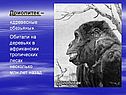Дриопитек – «древесные обезьяны»