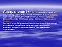 Австралопитеки
