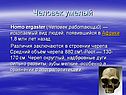 Человек умелый