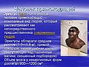 Эректус