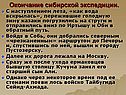 Окончание сибирской экспедиции