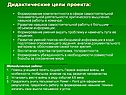 Дидактические цели проекта: