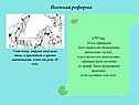 Военная реформа