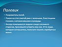 Покровитель полей
