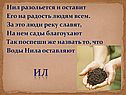 Ил