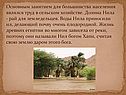 Долина Нила