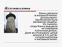 Железная клетка