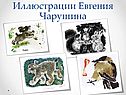 Иллюстрации Евгения Чарушина