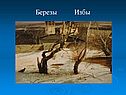 Березы
