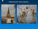 Самые высокие точки на картине