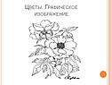 Цветы