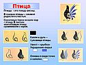 Птица