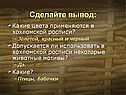 Цвета