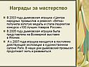 Награды за мастерство