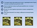 Картины снега