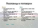Пословицы и поговорки