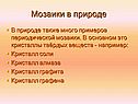 Мозаики в природе