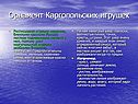 Орнамент Каргопольских игрушек