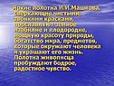Яркие полотна И.И.Машкова, сверкающие чистыми, звонкими красками,