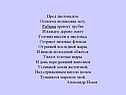 Лиловые флоксы