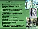 Север