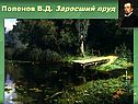 Заросший пруд
