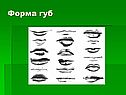 Форма губ