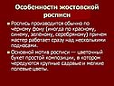 Особенности жостовской росписи