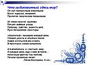 Дивные узоры