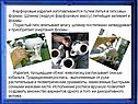 Фарфоровые изделия