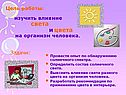 Влияние света и цвета на организм человека
