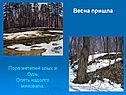 Весна пришла