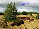 Рисование весеннего дерева