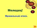 Правильный ответ
