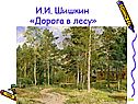 Дорога в лесу