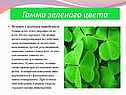 Влияние цвета