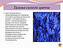 Гамма синего цвета