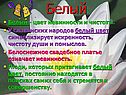 Белый - цвет невинности и чистоты