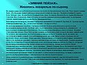 «ЗИМНИЙ ПЕЙЗАЖ»
