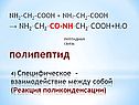 Полипептид