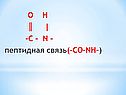 Пептидная связь