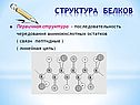 Структура белков
