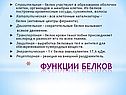 Функции белков