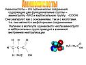 Аминокислоты