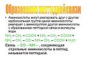 Образование пептидной связи