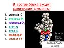 В состав белка входят химические элементы