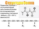 Структура белка