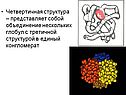 Четвертичная структура