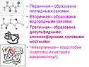 Комплекс из четырёх макромолекул