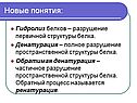 Новые понятия